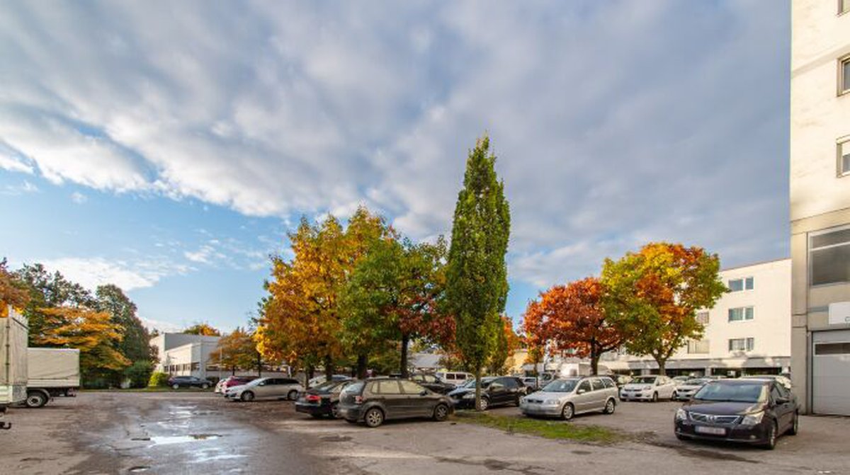 Parkplätze direkt am Haus